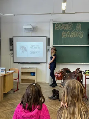 Den mazlíčků, 12. 1. 2026