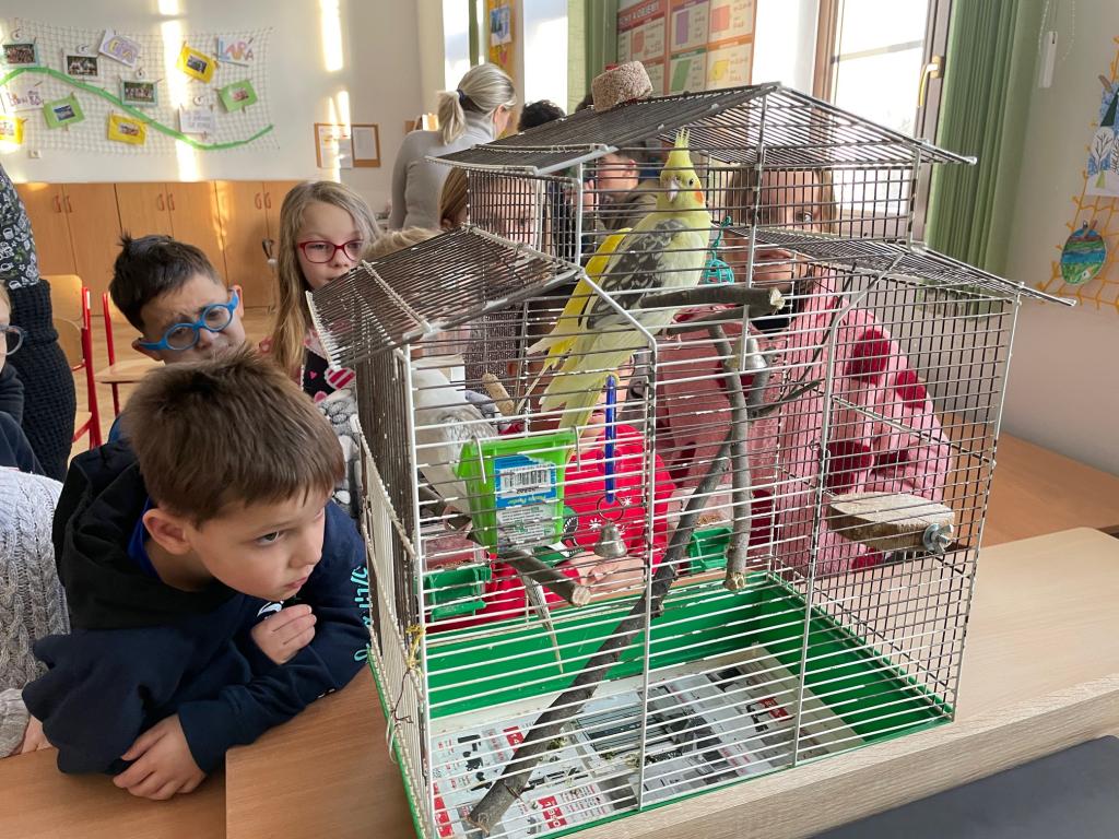 Den mazlíčků, 12. 1. 2026
