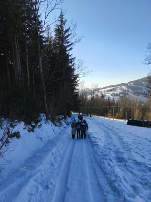 Lyžařský výcvik - den čtvrtý, 21. 1. 2026