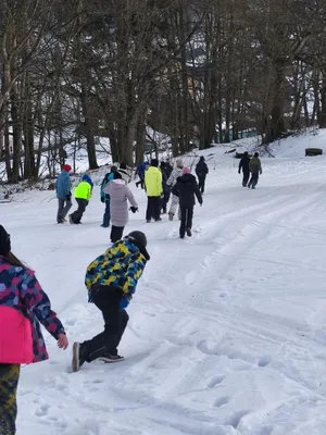 Lyžařský výcvik - den první, 18. 1. 2026