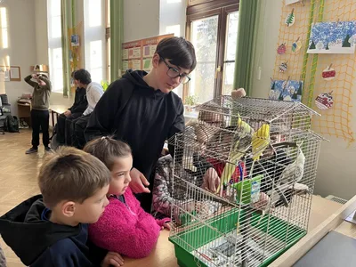 Projektový den Máme rádi zvířata a den otevřených dveří na naší škole, 12. 1. 2026