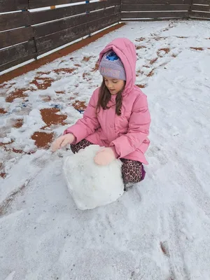 Dvacátý druhý týden ve školní družině., 21. 2. 2026