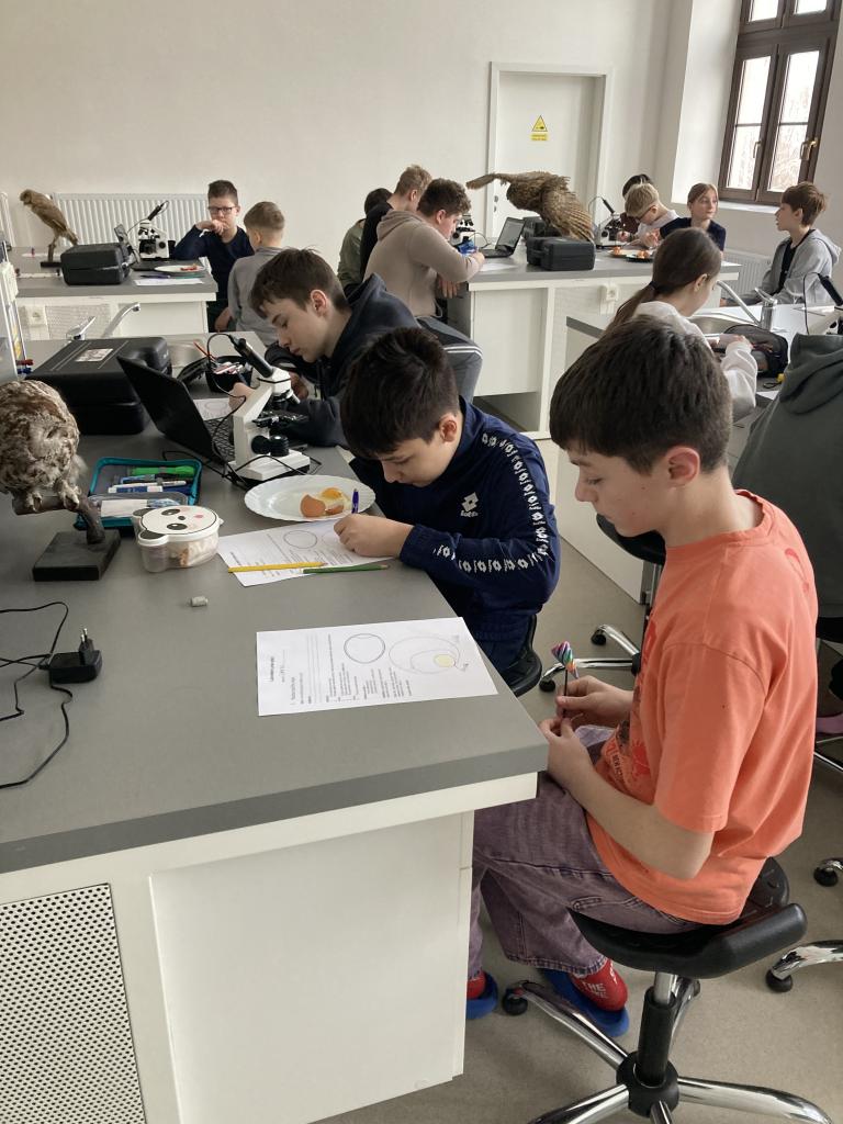 Přírodopis - Laboratorní práce: Rozbor ptačího vejce, 20. 2. 2026