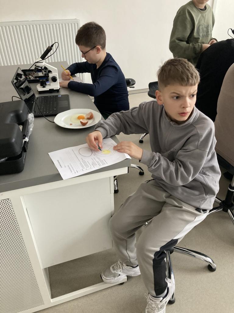 Přírodopis - Laboratorní práce: Rozbor ptačího vejce, 20. 2. 2026