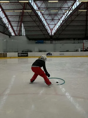 Školní zimní olympiáda na ledě, 18. 2. 2026