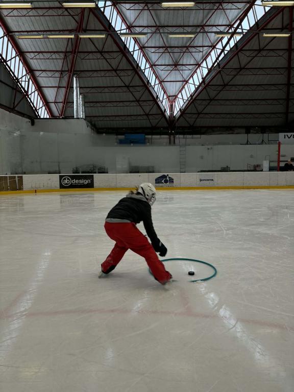 Školní zimní olympiáda na ledě, 18. 2. 2026