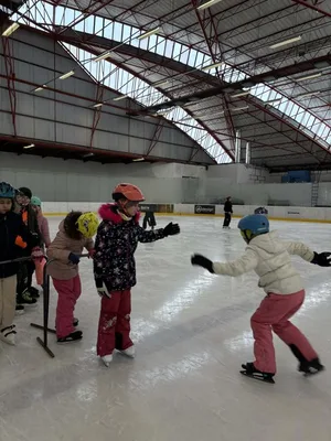 Školní zimní olympiáda na ledě, 18. 2. 2026