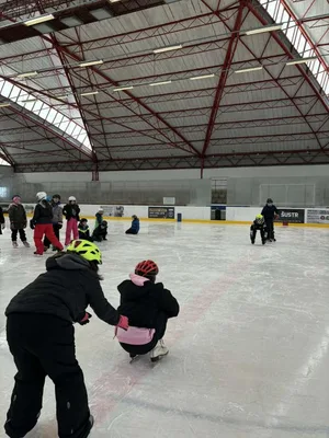 Školní zimní olympiáda na ledě, 18. 2. 2026
