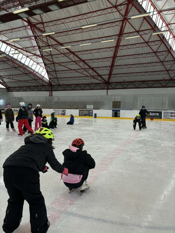 Školní zimní olympiáda na ledě, 18. 2. 2026