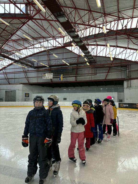 Školní zimní olympiáda na ledě, 18. 2. 2026