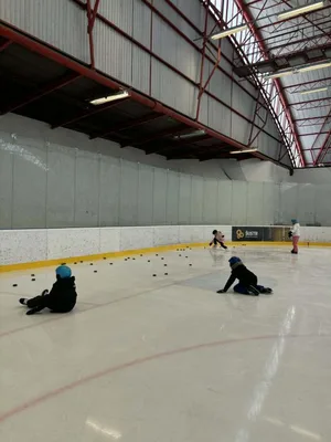 Školní zimní olympiáda na ledě, 18. 2. 2026