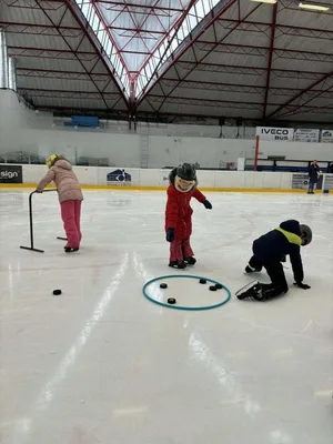 Školní zimní olympiáda na ledě, 18. 2. 2026