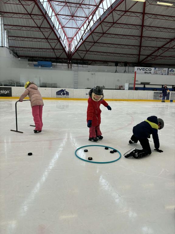 Školní zimní olympiáda na ledě, 18. 2. 2026