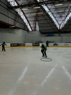 Školní zimní olympiáda na ledě, 18. 2. 2026