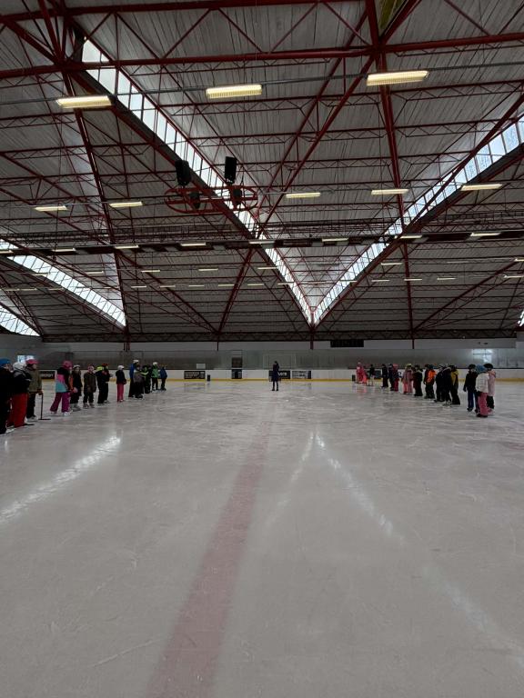 Školní zimní olympiáda na ledě, 18. 2. 2026
