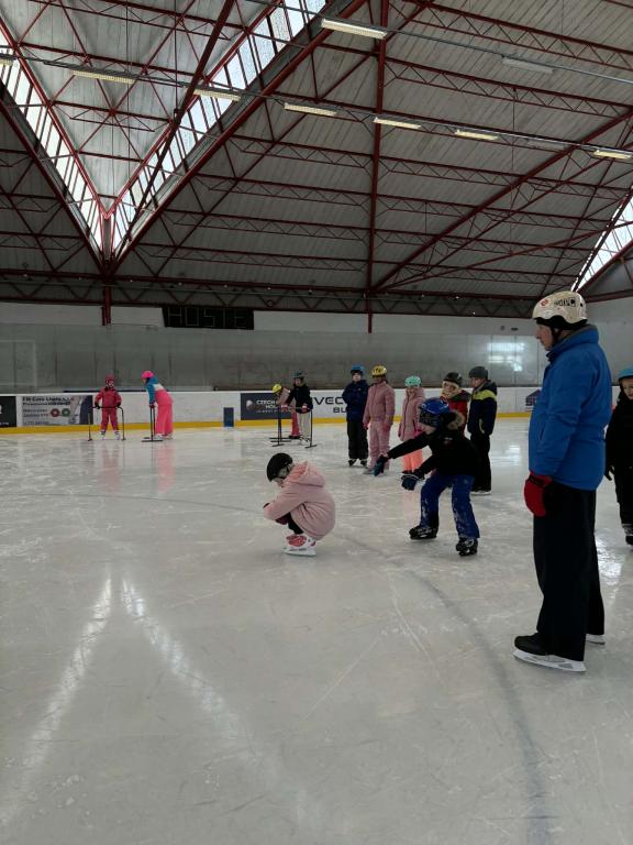 Školní zimní olympiáda na ledě, 18. 2. 2026