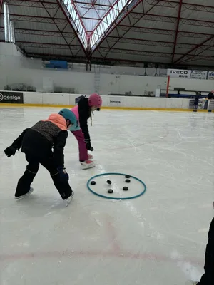 Školní zimní olympiáda na ledě, 18. 2. 2026