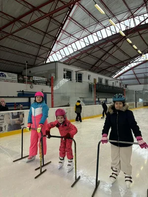 Školní zimní olympiáda na ledě, 18. 2. 2026