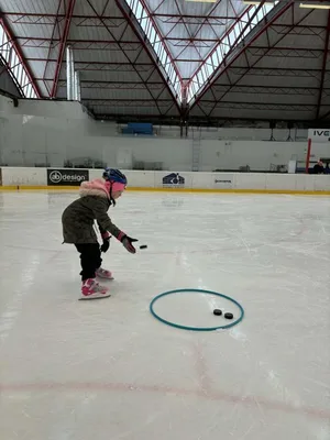 Školní zimní olympiáda na ledě, 18. 2. 2026
