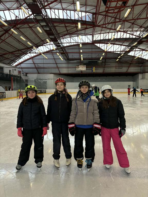 Školní zimní olympiáda na ledě, 18. 2. 2026