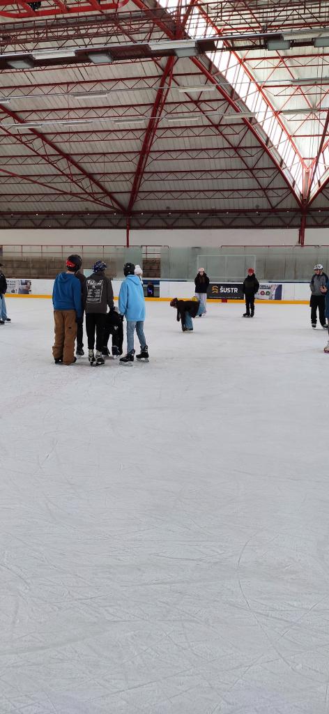 Školní zimní olympijské hry na ledě, 19. 2. 2026