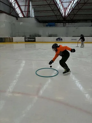 Školní zimní olympijské hry na ledě, 19. 2. 2026