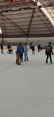 Školní zimní olympijské hry na ledě, 19. 2. 2026