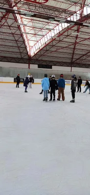Školní zimní olympijské hry na ledě, 19. 2. 2026
