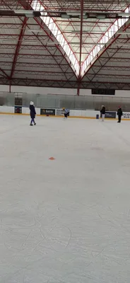Školní zimní olympijské hry na ledě, 19. 2. 2026