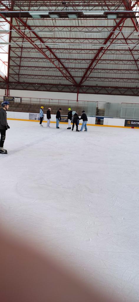 Školní zimní olympijské hry na ledě, 19. 2. 2026