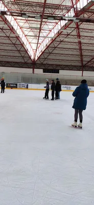 Školní zimní olympijské hry na ledě, 19. 2. 2026