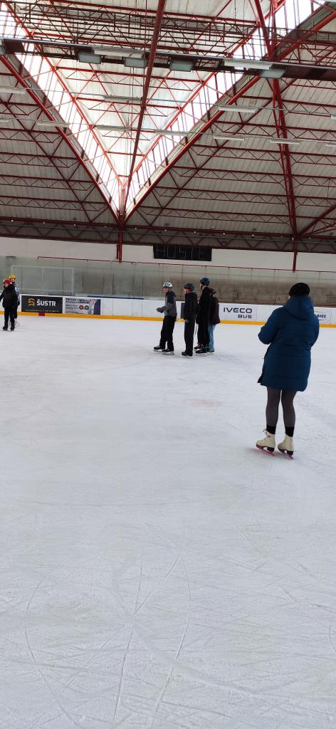 Školní zimní olympijské hry na ledě, 19. 2. 2026