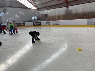 TÉMA - Olympijské hry ve 2. třídě, 25. 2. 2026