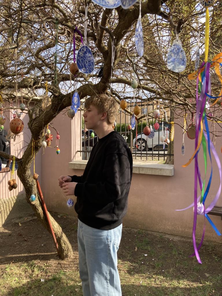Blíží se Velikonoce - zdobíme školní vajíčkovník, 23. 3. 2026