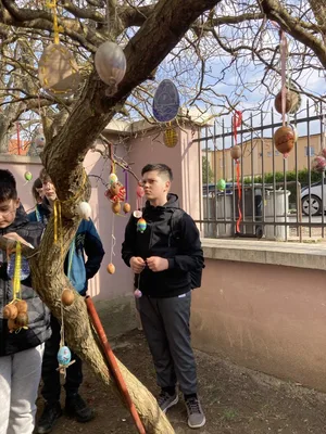 Blíží se Velikonoce - zdobíme školní vajíčkovník, 23. 3. 2026