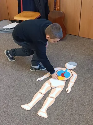 Putování po tělíčku  - edukativní program pro děti., 15. 3. 2026