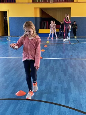 TÉMA - Olympijské hry ve 2. třídě, 3. 3. 2026