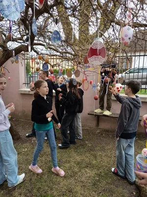 Vajíčka na školní vajíčkovník, 23. 3. 2026