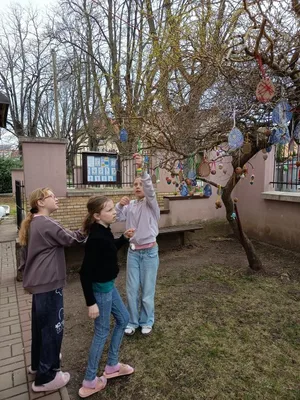 Vajíčka na školní vajíčkovník, 23. 3. 2026