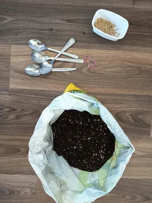 Pěstitelské práce, 22. 4. 2026
