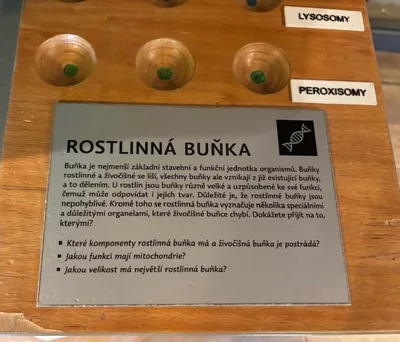 Pevnost poznání Olomouc, 28. 4. 2026