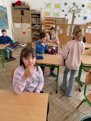 20. květen DEN VČEL, 18. 5. 2026