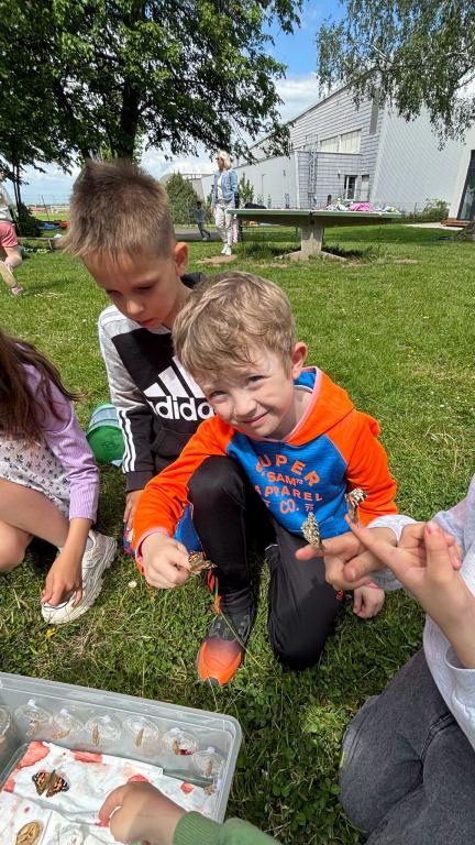 Chov motýlů ve školní družině., 23. 5. 2026