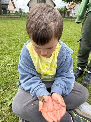 Chov motýlů ve školní družině., 23. 5. 2026