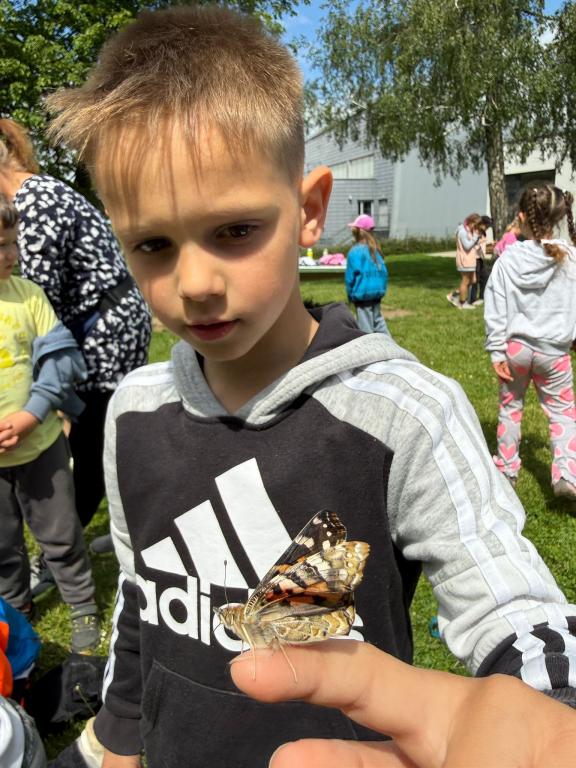 Chov motýlů ve školní družině., 23. 5. 2026