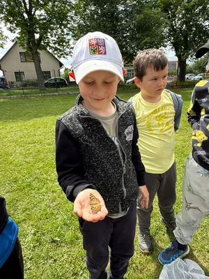 Chov motýlů ve školní družině., 23. 5. 2026