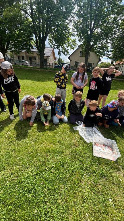 Chov motýlů ve školní družině., 23. 5. 2026