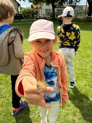 Chov motýlů ve školní družině., 23. 5. 2026