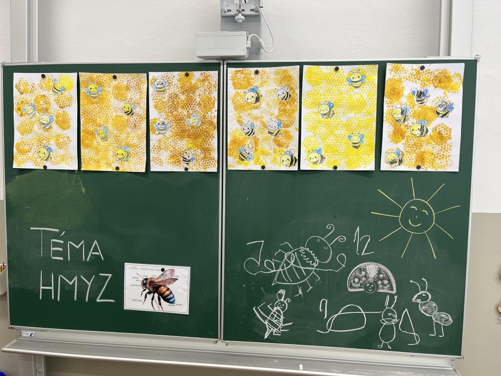 Hmyzí dobrodružství v přípravné třídě, 22. 5. 2026