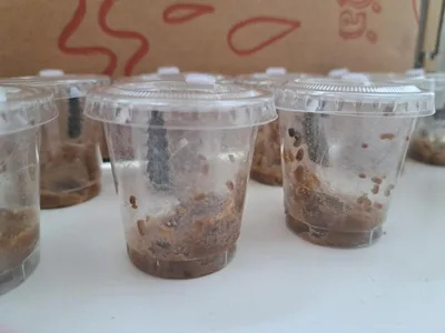 Třicátý druhý týden ve školní družině., 9. 5. 2026